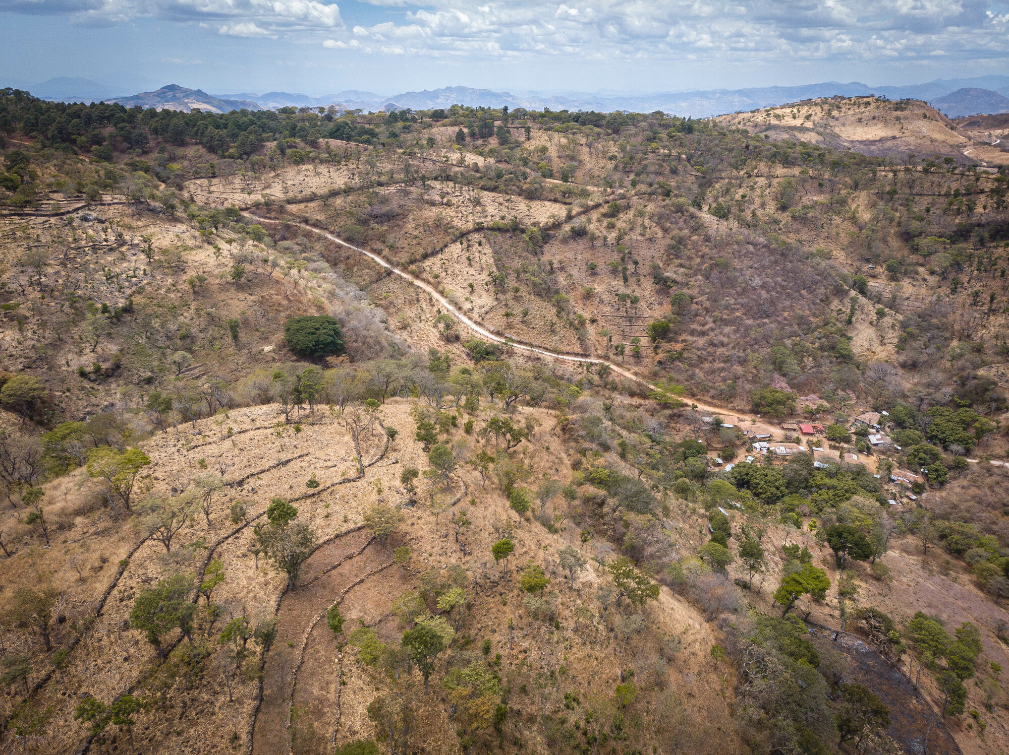 A bird's-eye view of stone erosion barriers in the countryside of Honduras