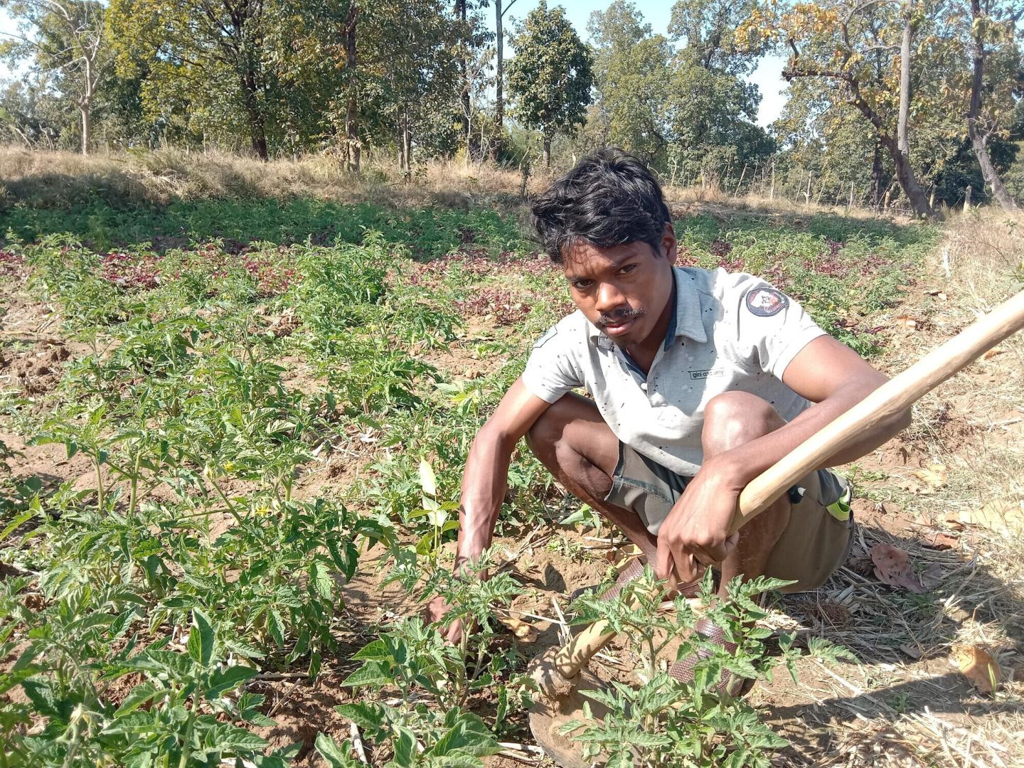 A farmer squats in his field in India. He is holding a hoe.