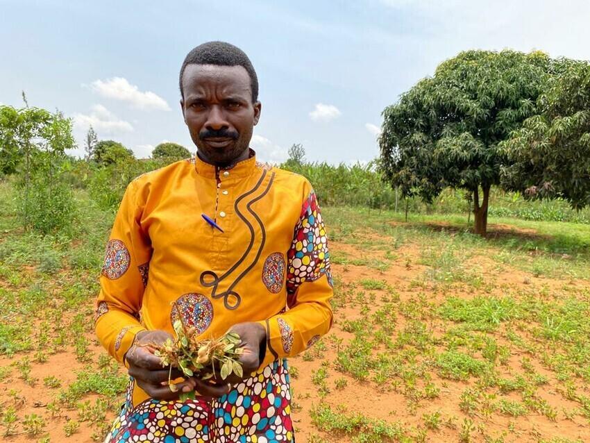 A Rwandan man in a bright yellow shirt holds plants in his hands.