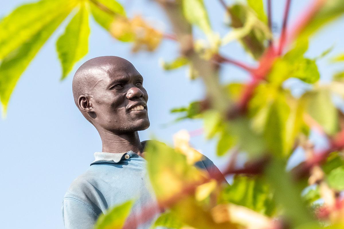 A Ugandan man in a blue shirt. In the foreground are branches and leaves of a tree or crop.