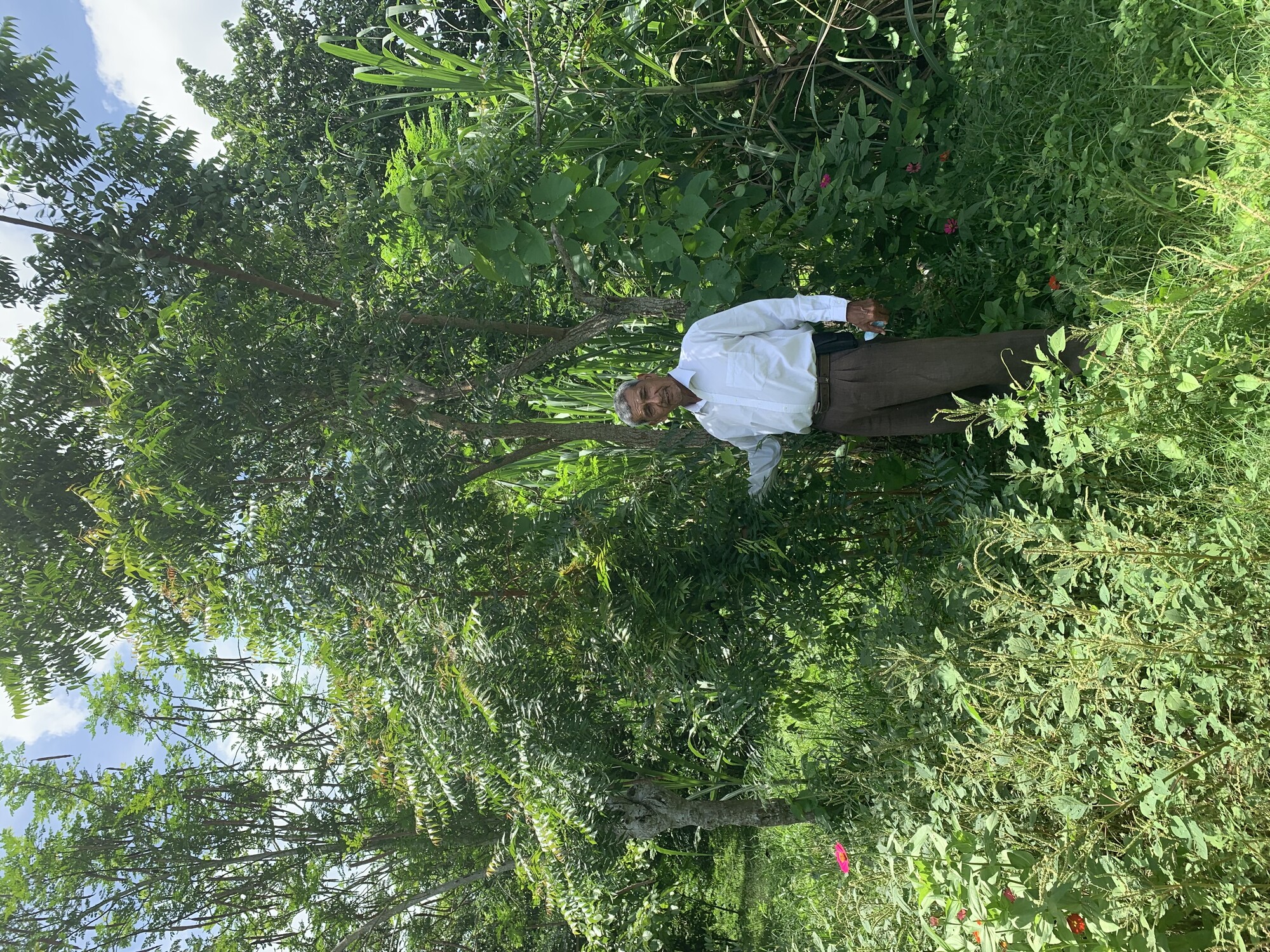 A man in dress clothes stands next to a neem tree