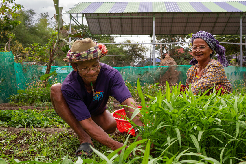 Husband and wife Rath Morn and Jhonh Nham, farmers supported by MCC partner Organization to Develop Our Villages (ODOV), demonstrate work in their garden beside their home.