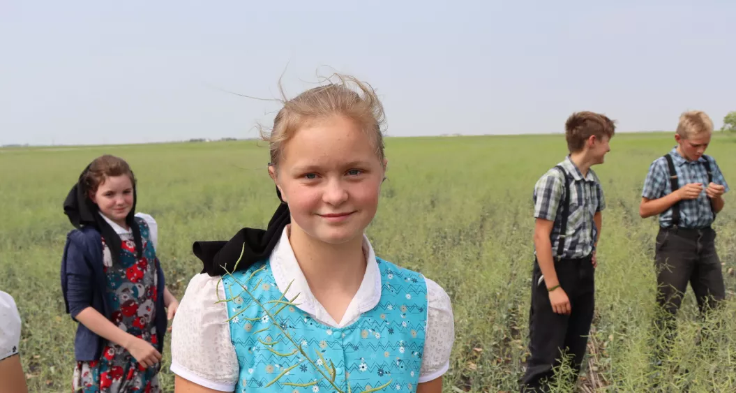 Hutterite children in a field