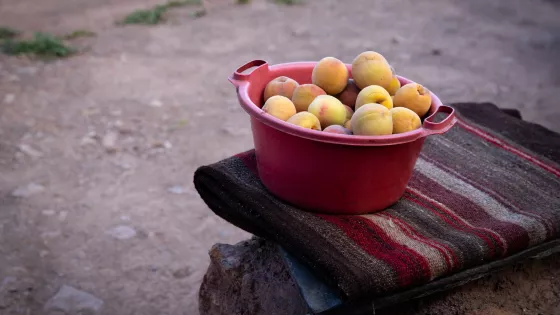 A bucket full of peaches